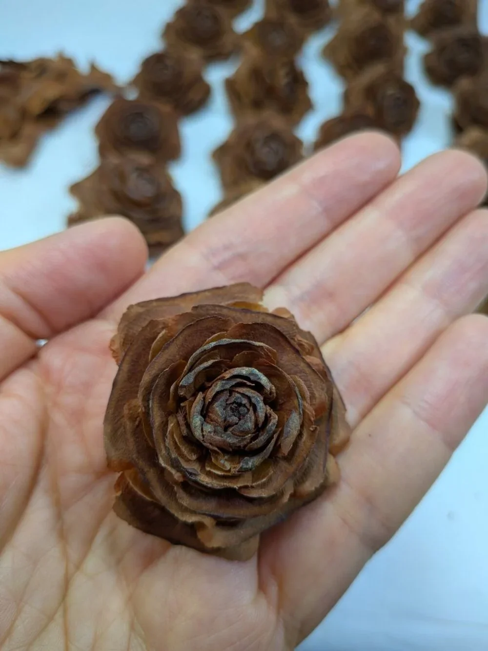 30 Real Cedar Rose Cones Natural Wooden Flowers Crafting & Wreath Supply